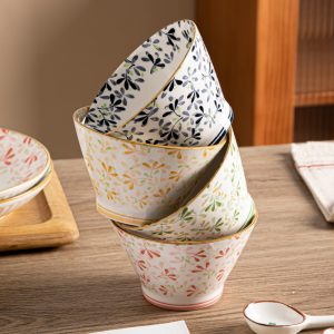 high quality appearance level household ceramic 5 inch conical bowl3